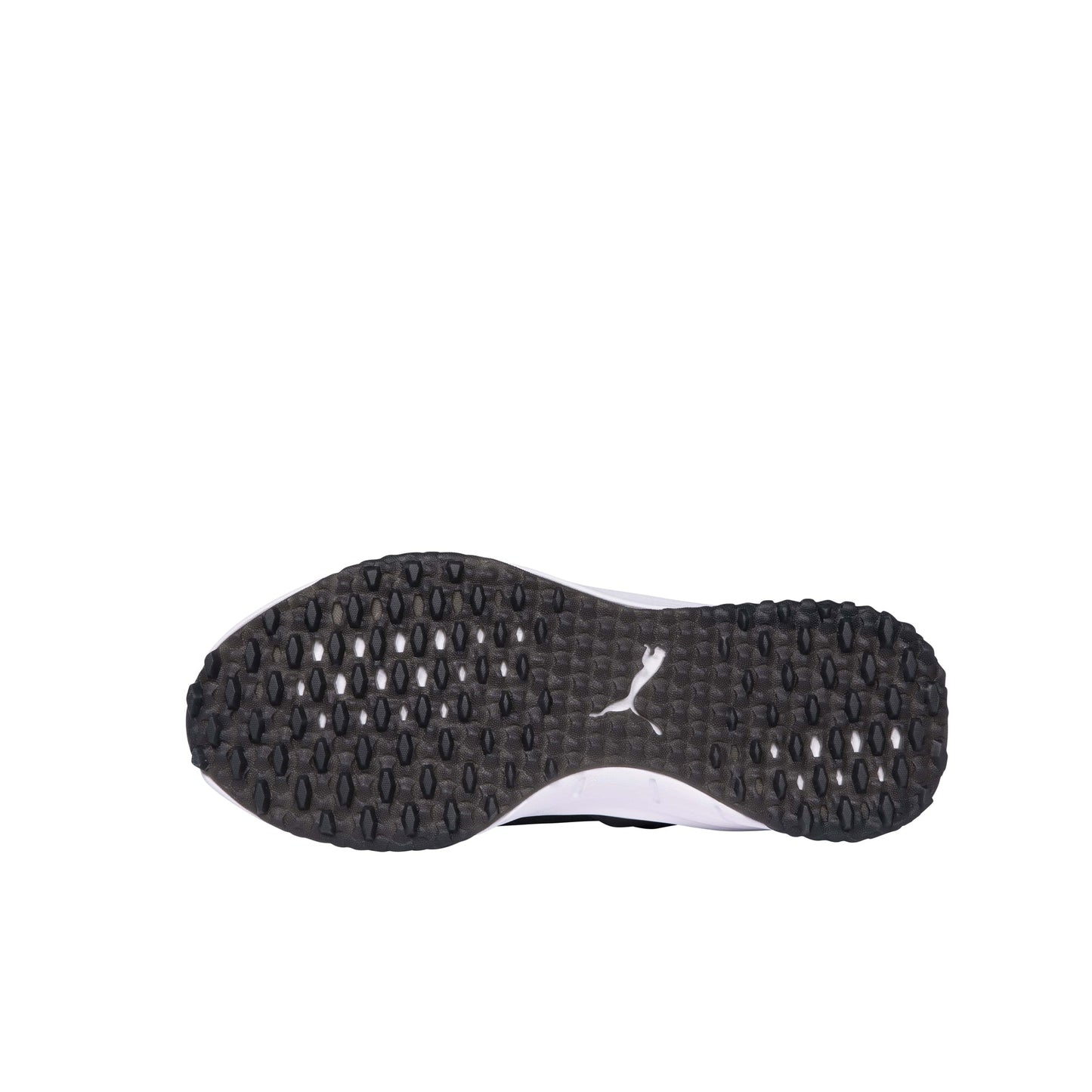 Puma Black / Quiet Shade