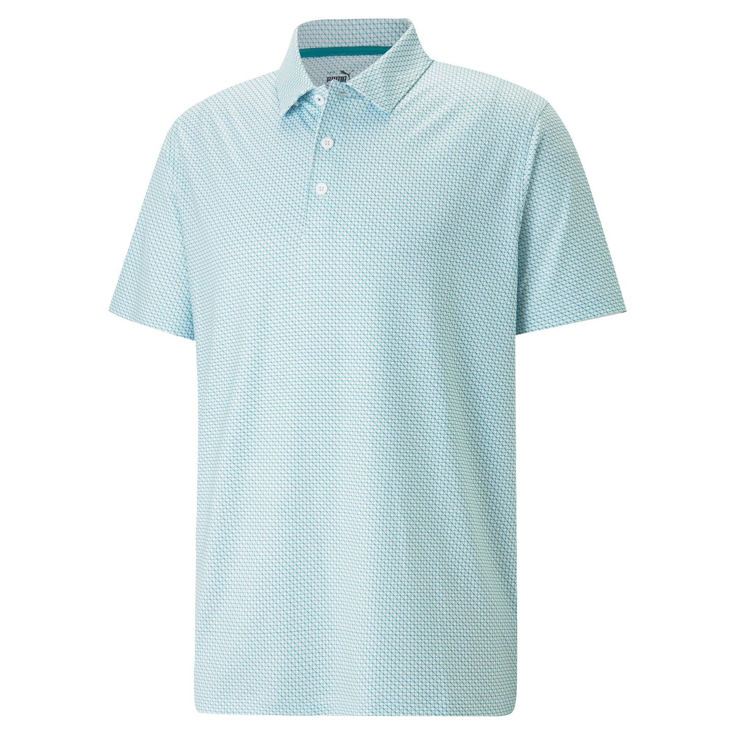Bright White / Green Lagoon
