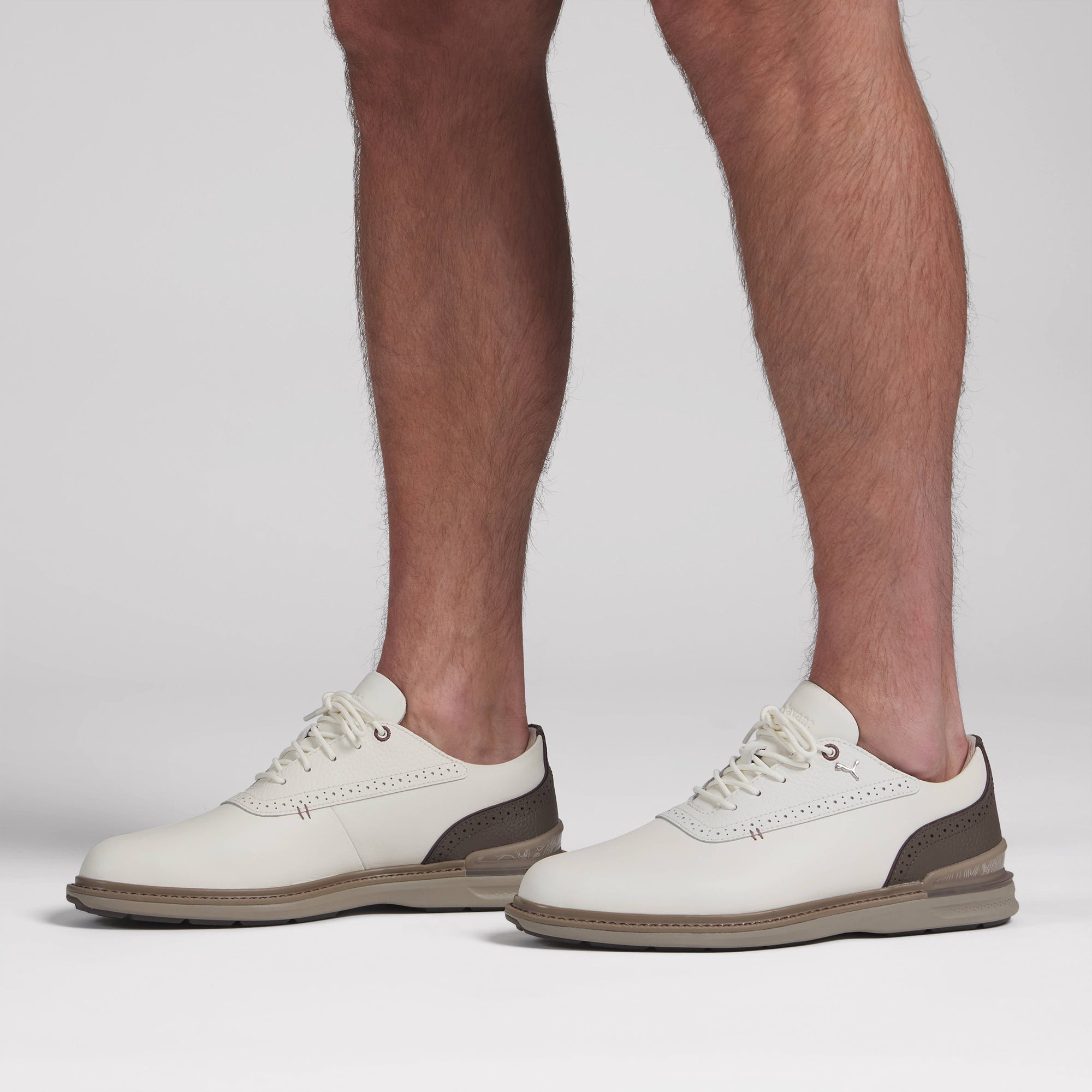 Warm White / Mouse Gray