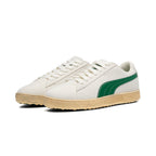 Warm White / Luso Green
