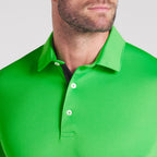 Puma Green