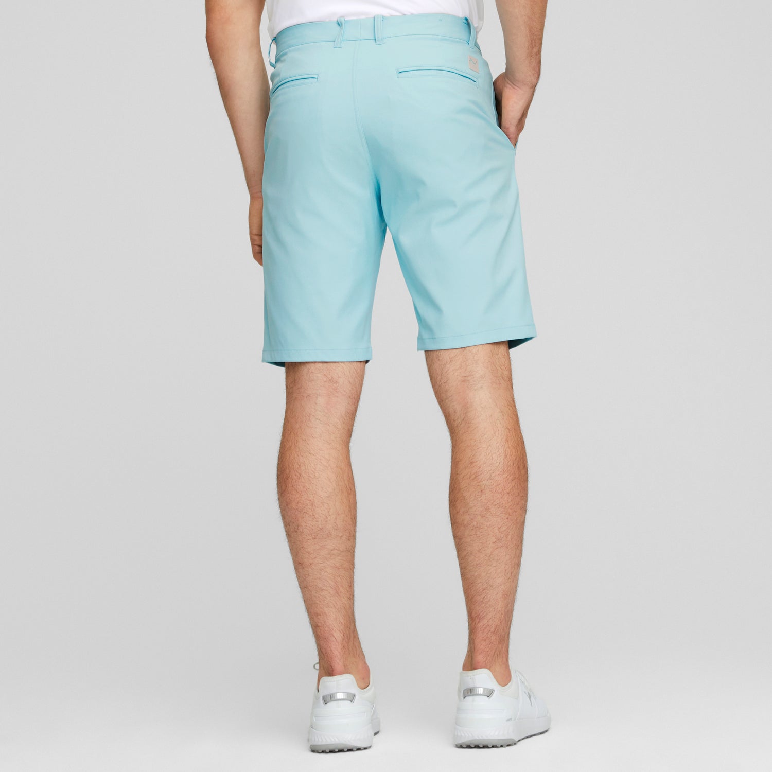 Tropical Aqua